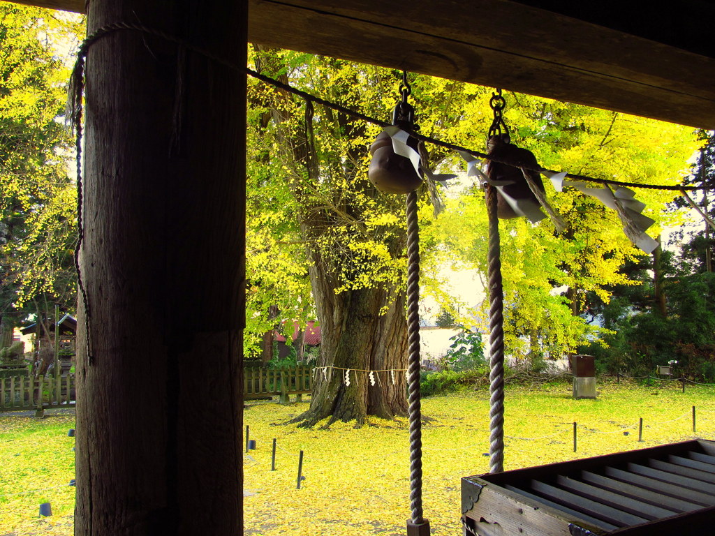 新宮熊野神社　長床