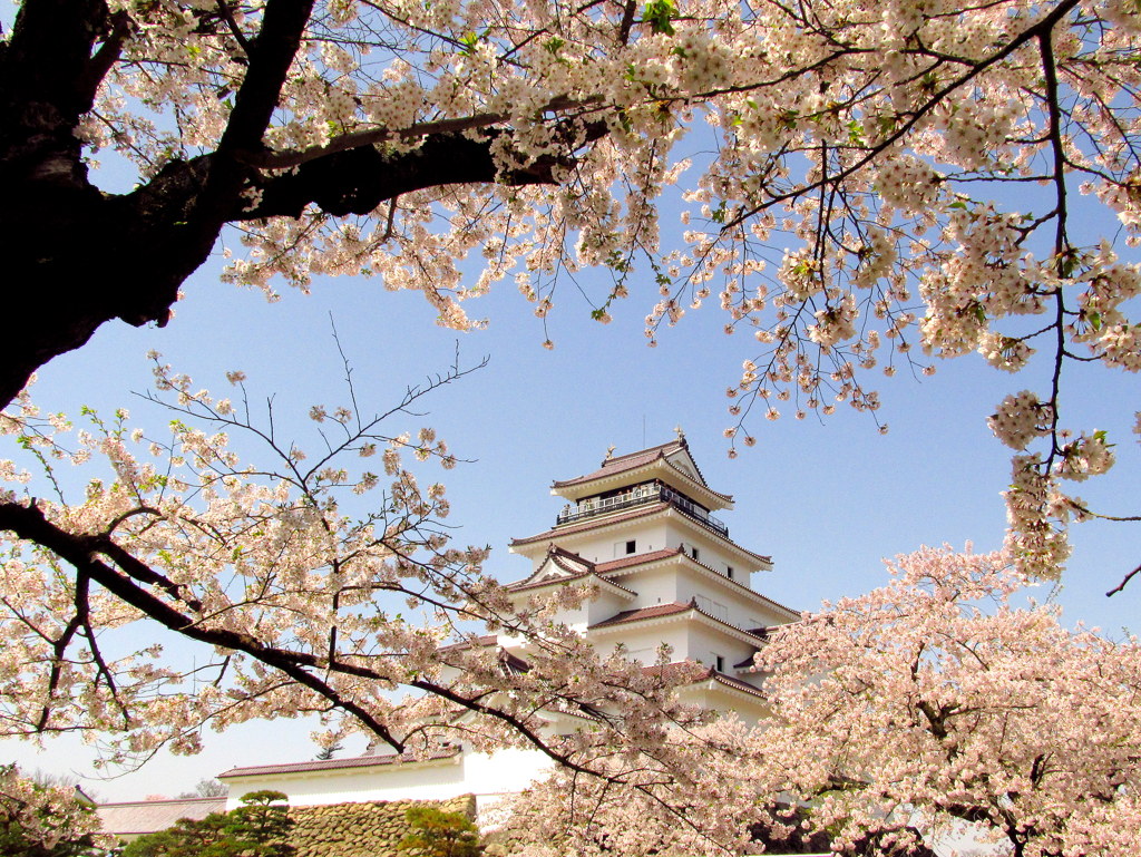 鶴ヶ城の桜