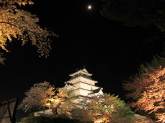 鶴ヶ城の夜桜