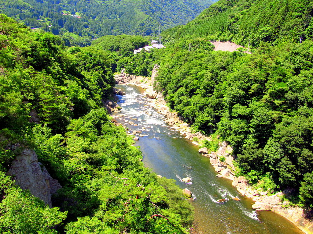 大川（阿賀川）