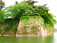 鶴ヶ城　西出丸の新緑