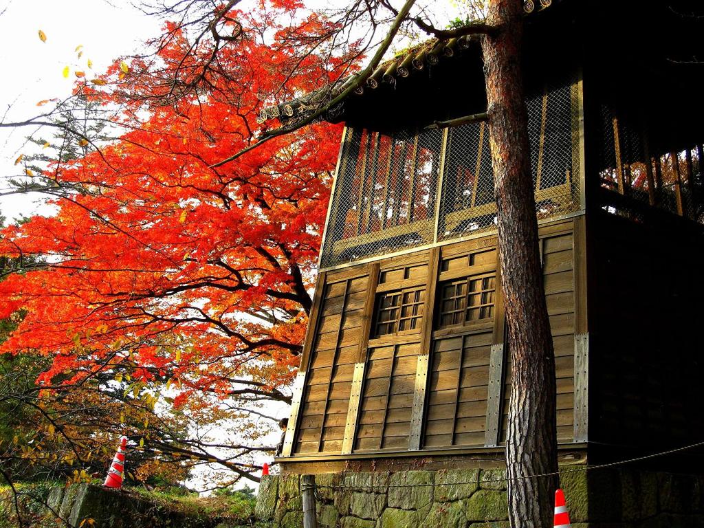 鐘撞堂と紅葉
