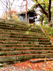 鐘撞堂の紅葉