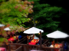 川どこ