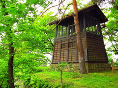 鶴ヶ城鐘撞堂の新緑