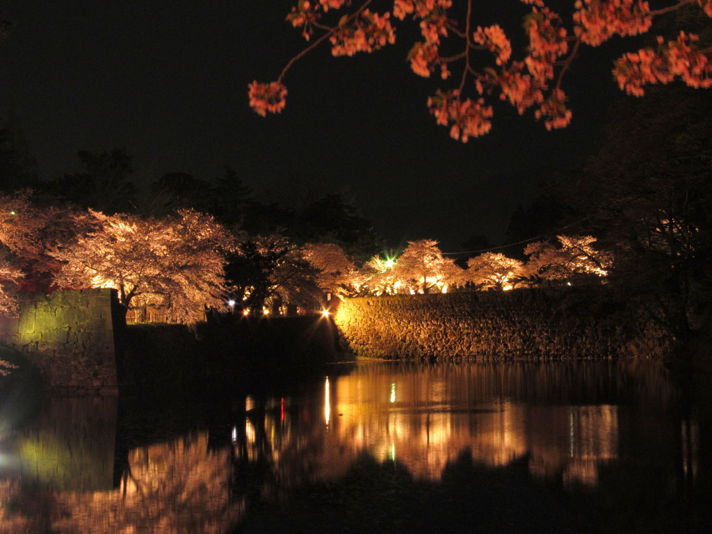 鶴ヶ城の夜桜