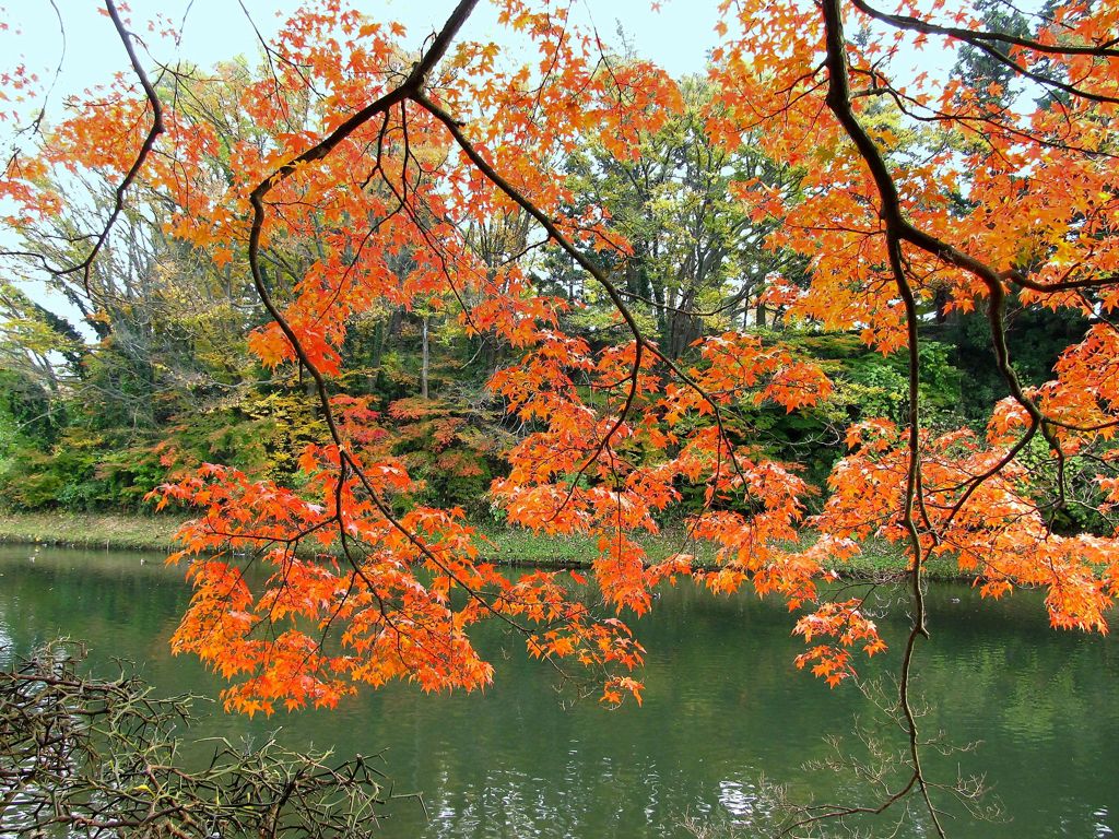 会津鶴ヶ城紅葉と堀