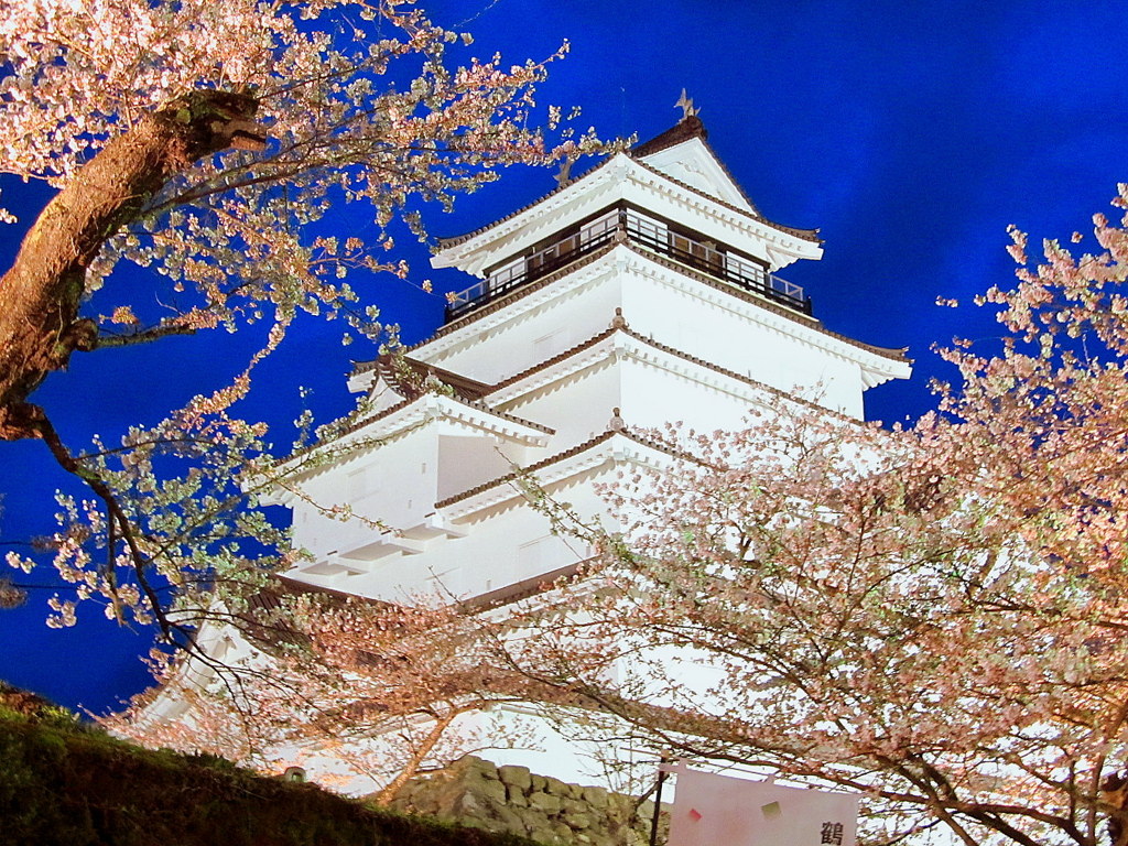 鶴ヶ城の桜　夜景