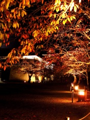 鶴ヶ城公園ライトアップ