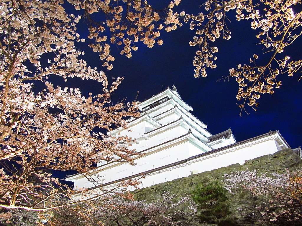鶴ヶ城の桜　夜景