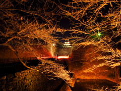 鶴ヶ城ライトアップ