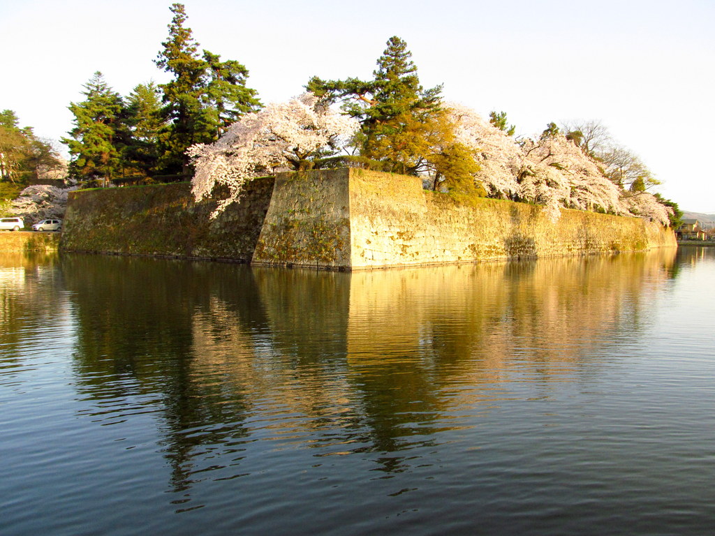 鶴ヶ城　西出丸の桜