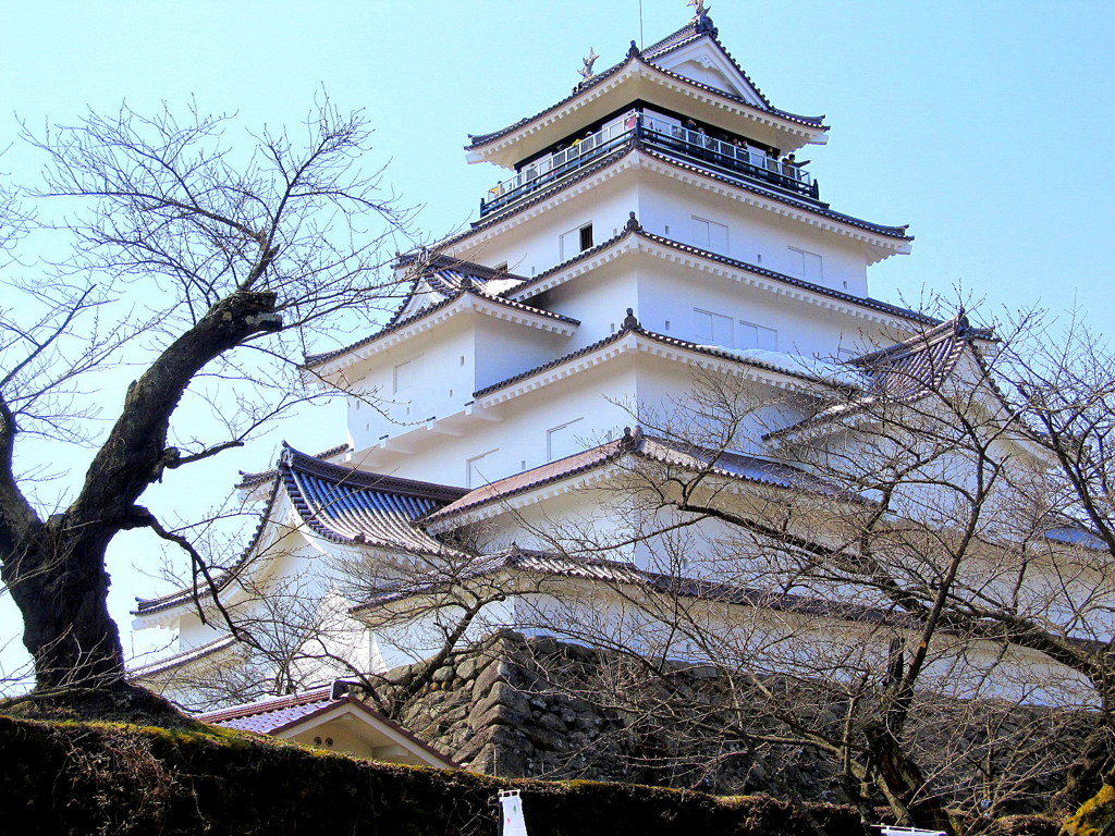 よみがえる鶴ヶ城　地震に負けないぞ桜は必ず咲く