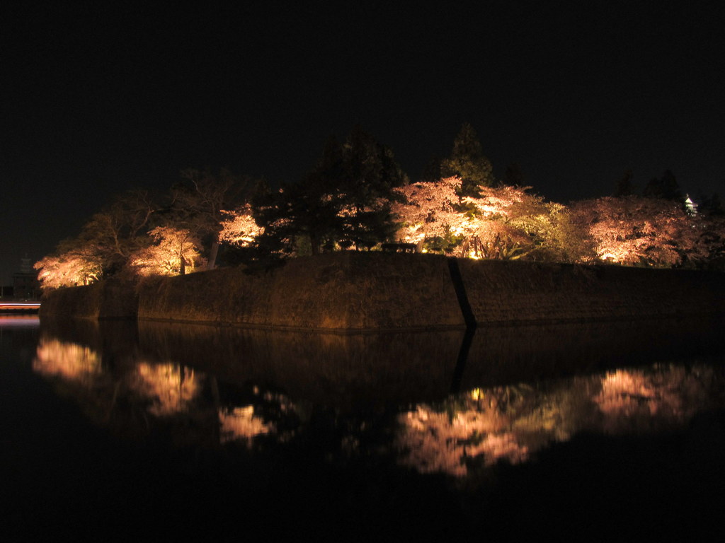 鶴ヶ城の夜桜