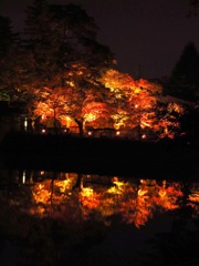 鶴ヶ城公園ライトアップ