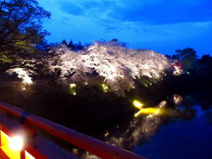 鶴ヶ城廊下橋の夜桜