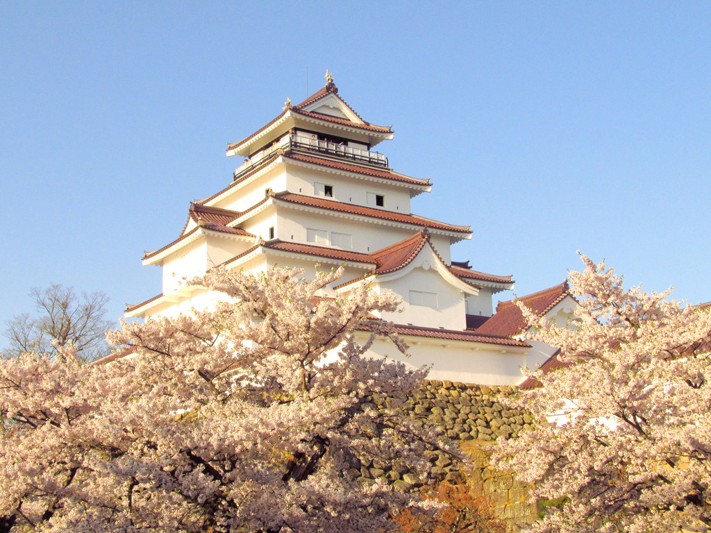 鶴ヶ城の桜