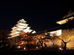 鶴ヶ城の夜桜