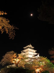 鶴ヶ城の夜桜