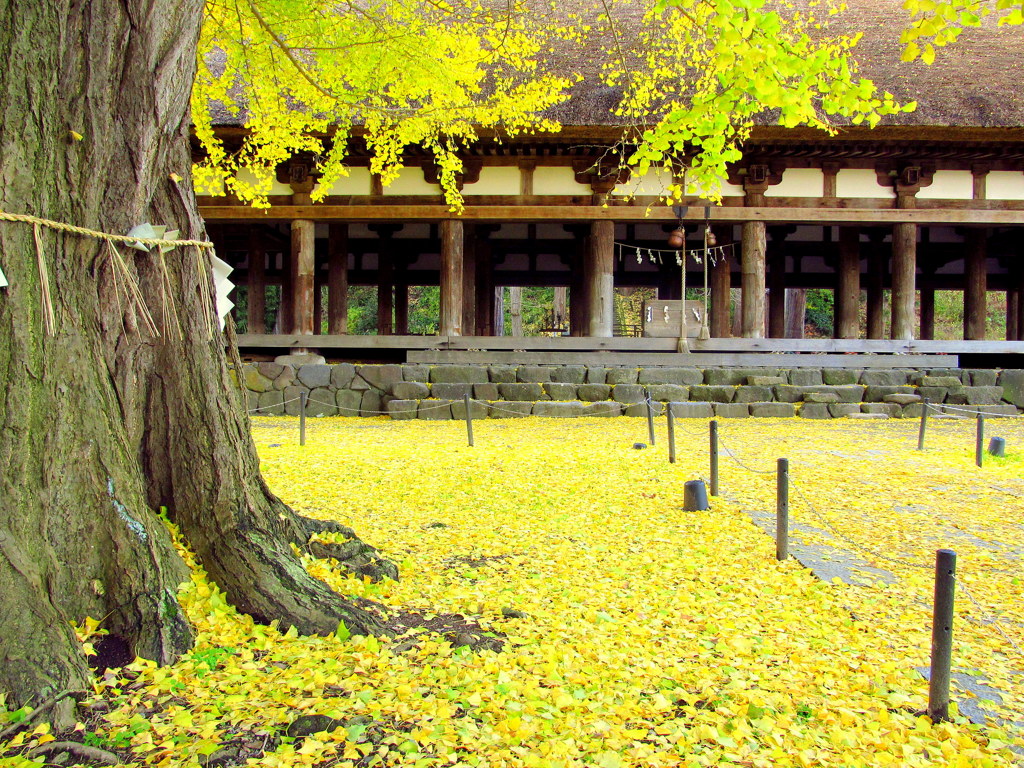 新宮熊野神社　長床