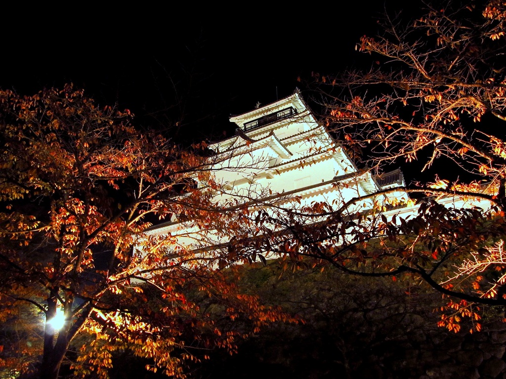 鶴ヶ城紅葉ライトアップ