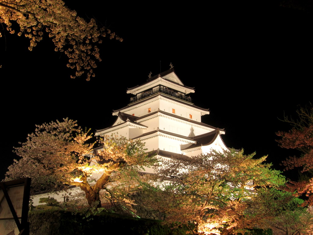 鶴ヶ城の夜桜