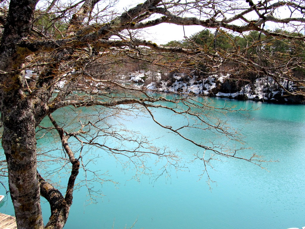 早春の五色沼（毘沙門沼）