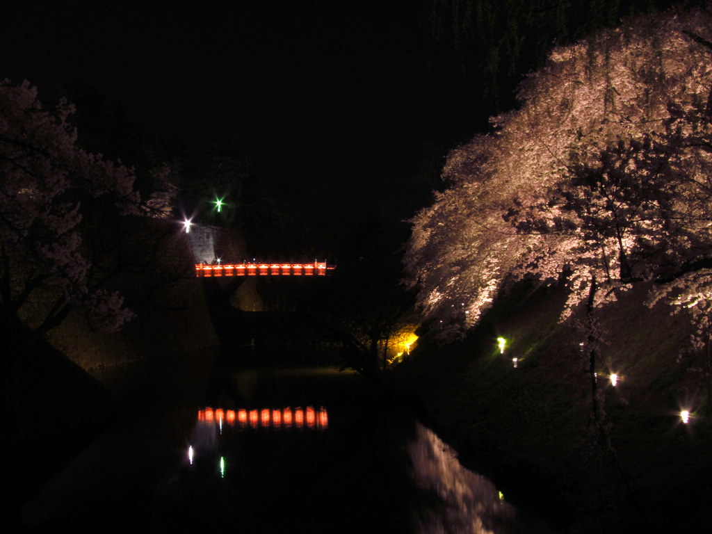 鶴ヶ城　廊下橋の夜桜