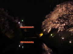 鶴ヶ城　廊下橋の夜桜