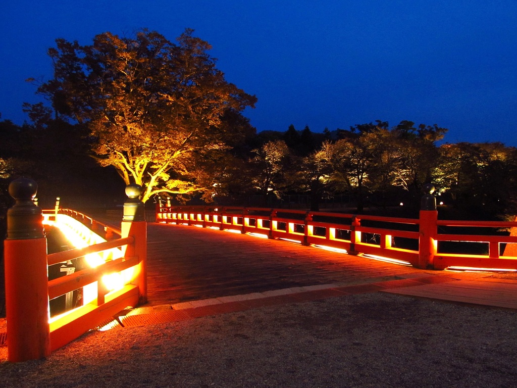 鶴ヶ城公園ライトアップ