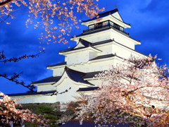 鶴ヶ城の桜　夜景