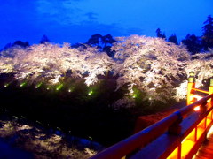 鶴ヶ城廊下橋の夜桜