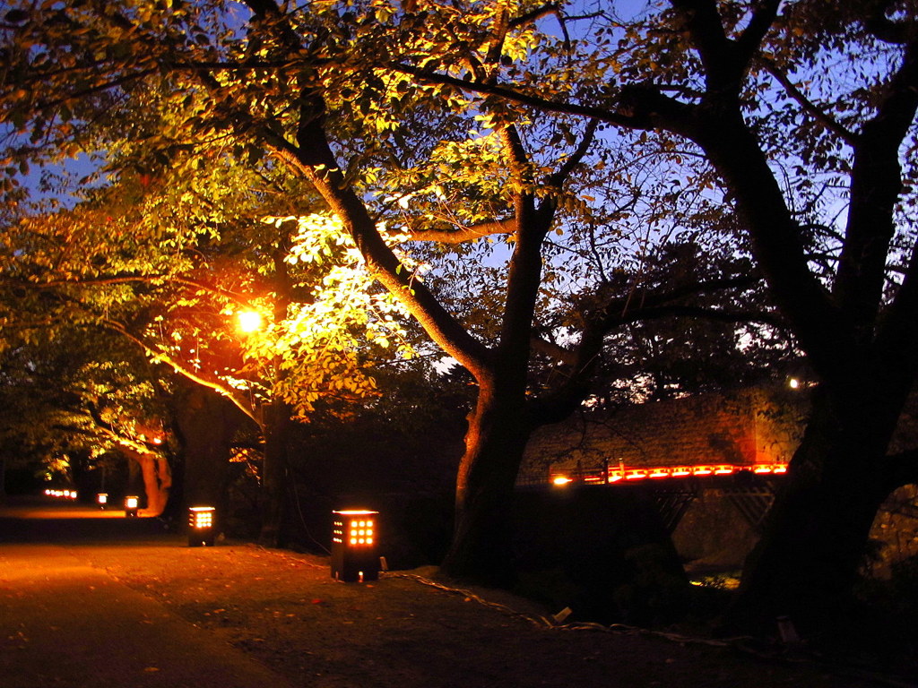 鶴ヶ城公園ライトアップ