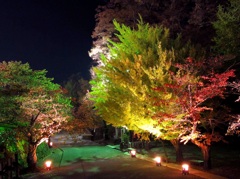 鶴ヶ城公園ライトアップ