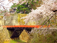 鶴ヶ城桜廊下橋　