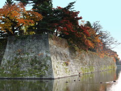 鶴ヶ城西出丸紅葉