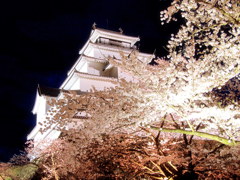 鶴ヶ城の桜　夜景