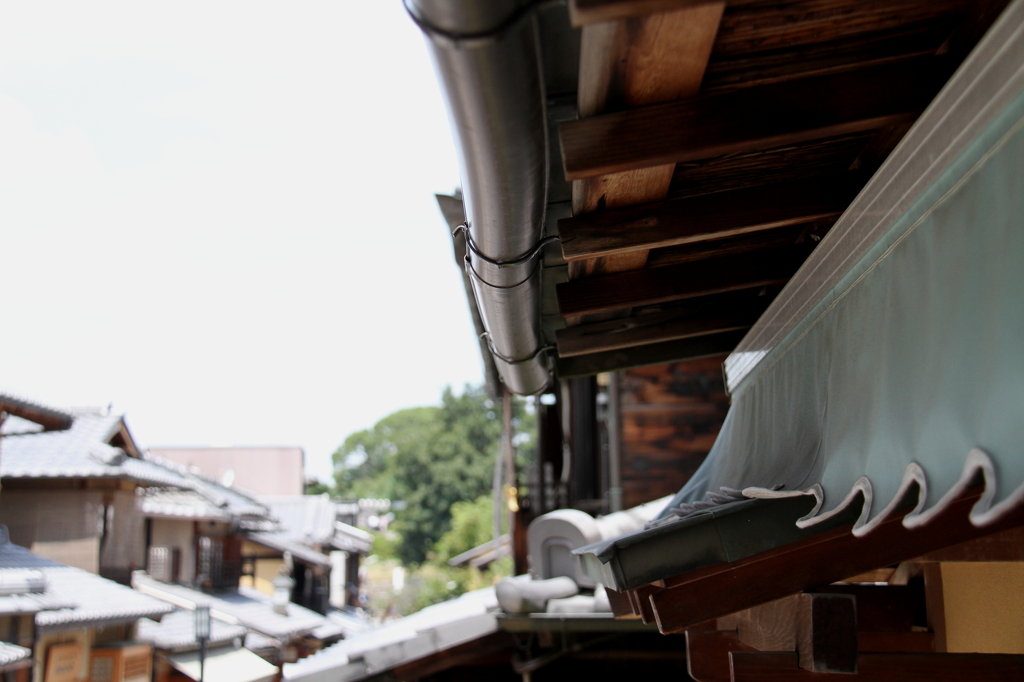 雨樋の風情