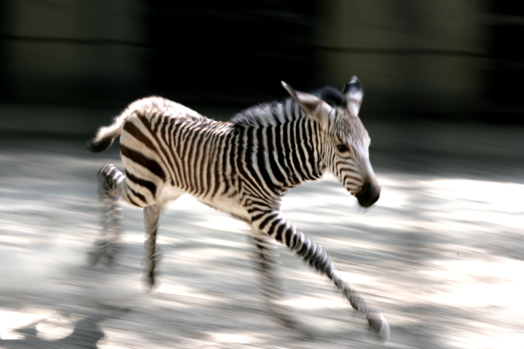 生まれてきて嬉しいっ！