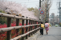 一緒に、帰ろ