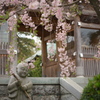 手をやすめ