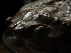 crab