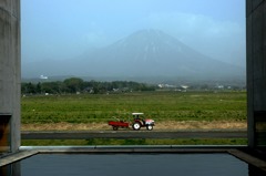 長閑