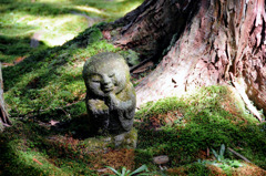 木陰