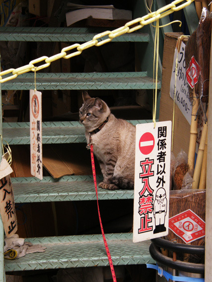 俺の領域
