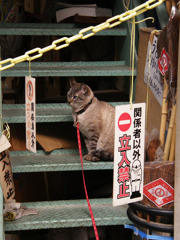 俺の領域