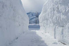 雪の道