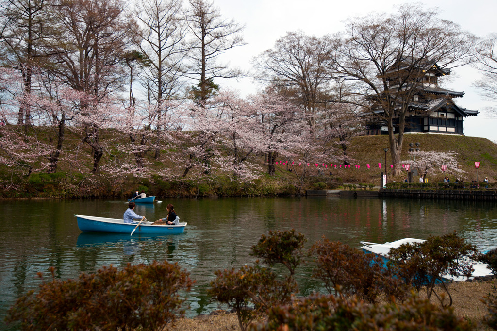 高田公園の桜①
