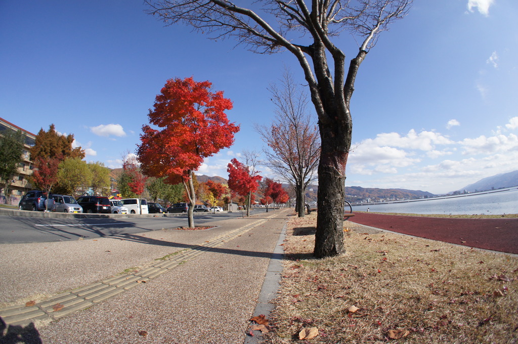 湖畔の紅葉