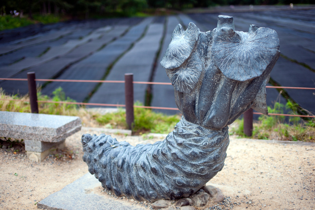 でっかいわさび